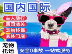 成都双流航空货运国际宠物托运 【国