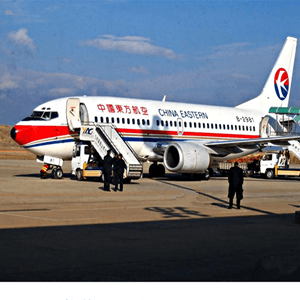 成都双流航空货运航空快运业稳步发展的原因是什么？